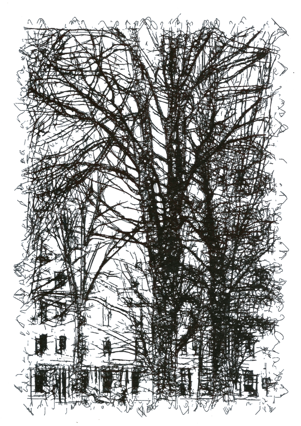 BIC ballpoint pen on paper (210x297mm, 2023)