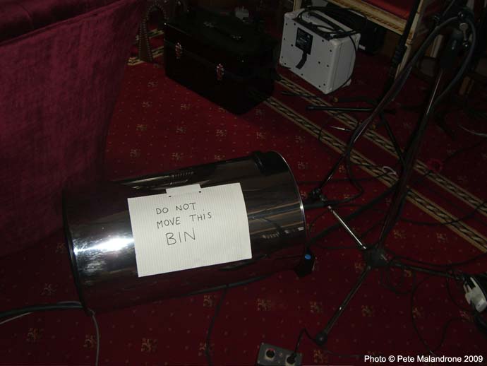 Deacy in a bin. (2/2)